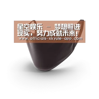 成人布口罩