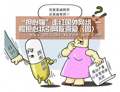 “担心猫”走红国外网络 一脸担心状引网友喜爱(图)‘星空娱乐下载’(图3) 星空娱乐下载