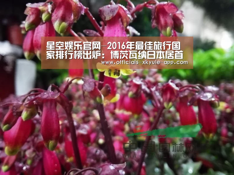 星空娱乐官网-2016年最佳旅行国家排行榜出炉:博茨瓦纳日本居首(图3) 星空娱乐官网