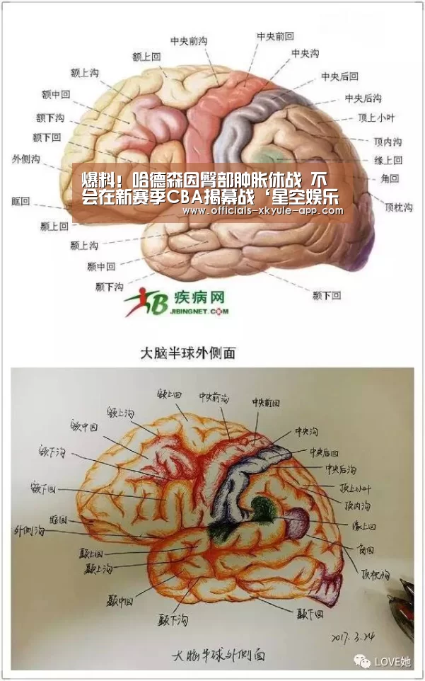 爆料!哈德森因臀部肿胀休战 不会在新赛季CBA揭幕战‘星空娱乐app’(图1) 星空娱乐下载