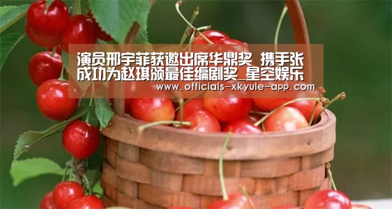 星空娱乐