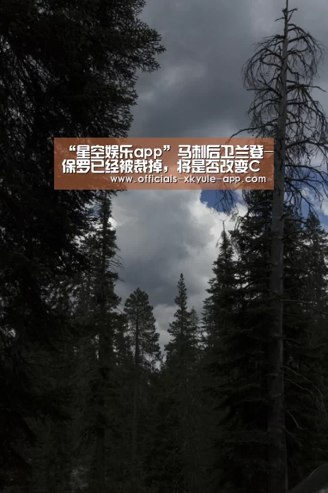 “星空娱乐app”马刺后卫兰登-保罗已经被裁掉,将是否改变CBA格局?(图2) 星空娱乐官网