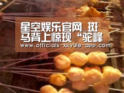 星空娱乐官网_斑马背上惊现“驼峰”网络走红 被疑有骆驼基因(图)(图4) 星空娱乐