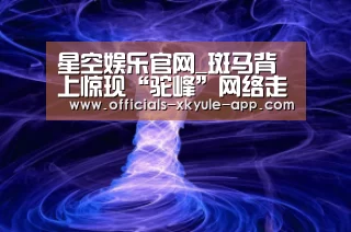星空娱乐官网_斑马背上惊现“驼峰”网络走红 被疑有骆驼基因(图)(图2) 星空娱乐app