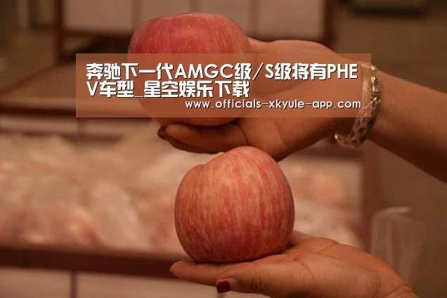 奔驰下一代AMGC级/S级将有PHEV车型_星空娱乐下载