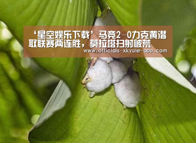 ‘星空娱乐下载’马竞2-0力克黄潜取联赛两连胜,莫拉塔扫射破荒(图2) 星空娱乐app
