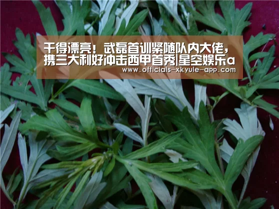 干得漂亮!武磊首训紧随队内大佬,携三大利好冲击西甲首秀|星空娱乐app(图2) 星空娱乐app