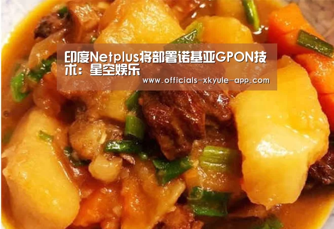 印度Netplus将部署诺基亚GPON技术:星空娱乐(图1) 星空娱乐下载