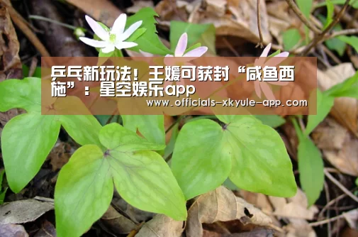 乒乓新玩法!王媛可获封“咸鱼西施”:星空娱乐app(图1) 星空娱乐下载