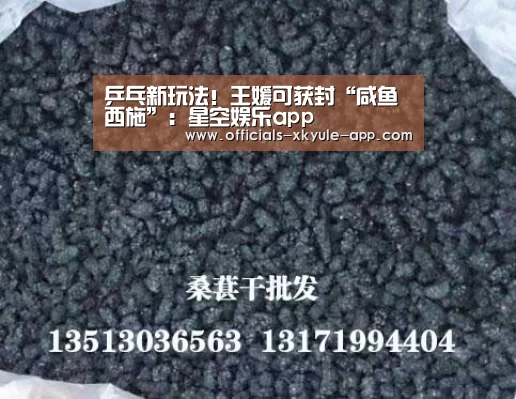 乒乓新玩法!王媛可获封“咸鱼西施”:星空娱乐app(图2) 星空娱乐下载