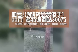 血亏!沙欣转会费低于100万 多特还倒贴300万欧年薪-星空娱乐下载(图1) 星空娱乐官网